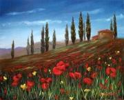 Bright Tuscan Poppy Field