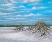 Sunny Day at Bean Point, AMI Sunny Day at Bean Point, AMI